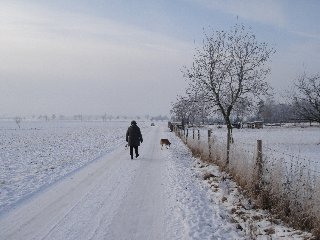 passeggiando sulla neve