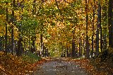 sentiero meraviglioso in autunno