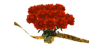 bouquet di rose con nastrino giallo