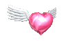 cuore con le ali