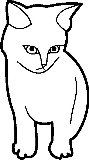 gatto poco amichevole