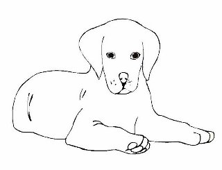 cane molto buono