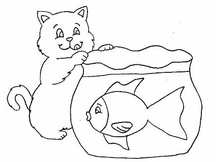 gattino affamato di pesce in acquario