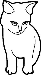 gatto poco amichevole