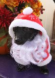 cane vestito da babbo natale