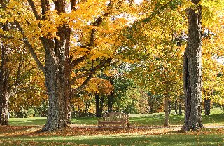 bellissimo parco romantico con panchina in autunno
