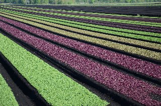 i colori della natura