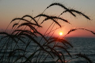 il mare e la natura al tramonto