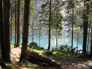 incantevole scorcio sul lago e le montagne tra gli alberi