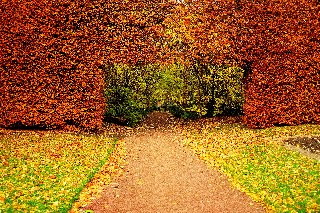 meraviglioso viale con passaggio naturale