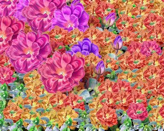 moltitudine di fiori dipinti