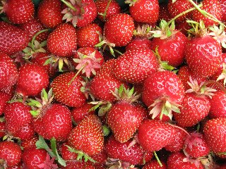 moltitudine di fragole fresche molto golose