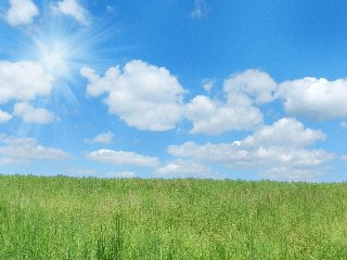 paesaggio assolato che infonde calma e armonia