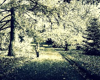 ricordi di una primavera indimenticabile