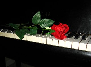 romantica rosa su pianoforte