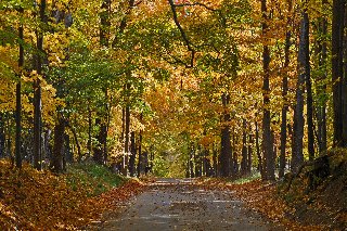 sentiero meraviglioso in autunno