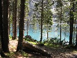 incantevole scorcio sul lago e le montagne tra gli alberi