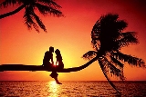 innamorati su albero al tramonto