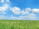 paesaggio assolato che infonde calma e armonia
