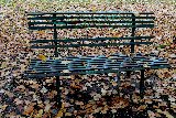 panchina su prato con foglie